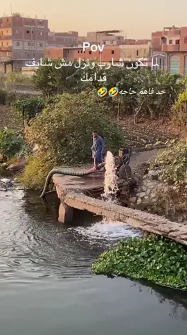 #مصر_العراق_السعودية_تونس_المغرب_الجزائر 