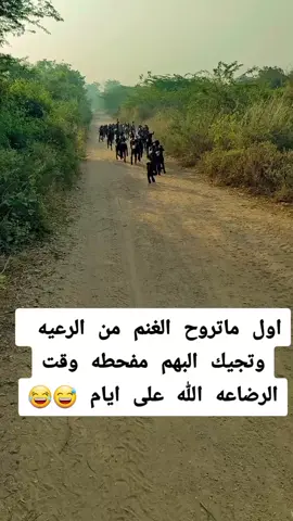#ديرتي_شبوة_واعشق_هواها  #اكسبلووووررر_متابعه  #فضلا_وليس_امرا🥀 متابعتك تسعدني  #اعاده_نشر🔁 ######