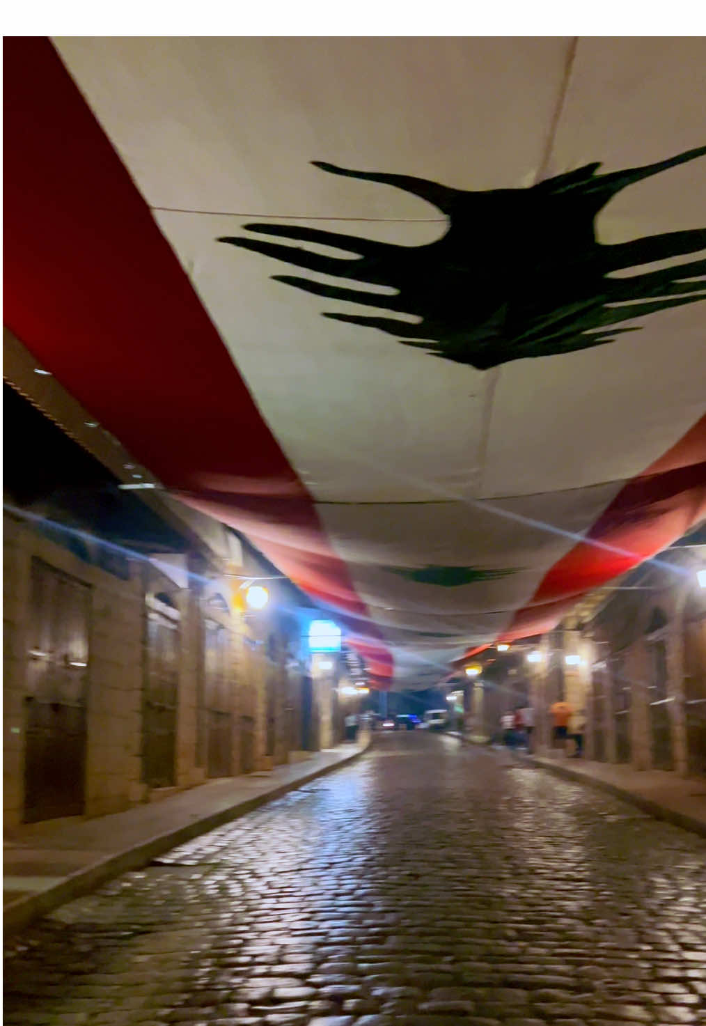 #راشياالوادي🇱🇧 #يوم_الدبس 🍇#السوق_الاثري  #لبنان🇱🇧 