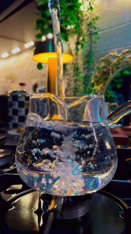 #انثى_برائحة_القهوة🥀 #عليكم_كذب_لكال_انا_مرتاح💔🥺 #ملكة_القهوة☕🎻😌 #انثى_ينحني_لها_الورد🥀 #مجرد________ذووووووق🎶🎵💞 