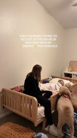 I’ve been loving seeing people say the “terrific” twos 🥹✨ this age is so sweet, HARD at times, but they’re just learning and absorbing so much of the world around them everyday. Being prepared and having realistic expectations as a mama has been a game changer for me 🤍 #toddlermom #momvlog #pregnant #pregnantlife #pregnancyvlog 