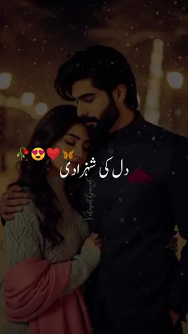 Mere sine may ak chota sa dil hai❤️🥀 #foryou #hammadwrites7868 #foryoupage #vrial #fyp 
