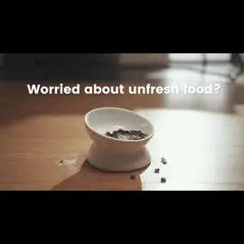 🎥🐾 Keep an eye on your fur baby anytime, anywhere! This smart feeder makes sure they’re fed and happy—even when you’re not home. 🐶🐱 Would you use this for your pet? 👇 #SmartPetFeeder #PetGadgets #PetParents #PetTech #PetCamera        