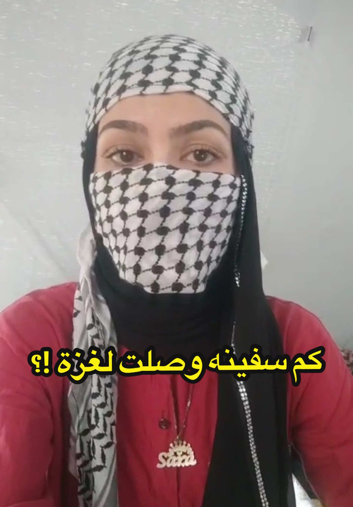 كم سفينة وصلت لغزة !؟ #germany #usa_tiktok #uk #irlanda #france🇫🇷 