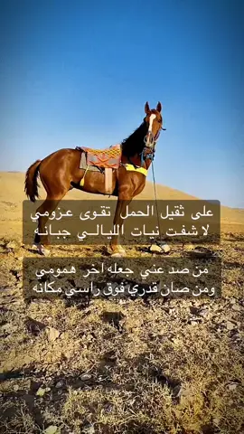 #فلسطين_أحساس_شاعر_لايك_فضلآ_وليس_أمرآ 