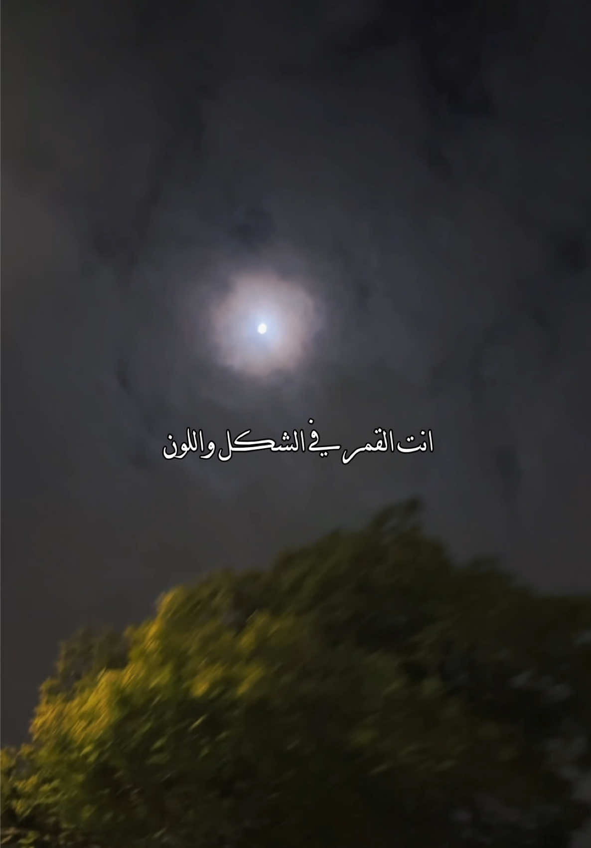 انت القمر♥️♥️#تصاميم_صلوح🧑‍🦯 #explore #بدر_العزي 