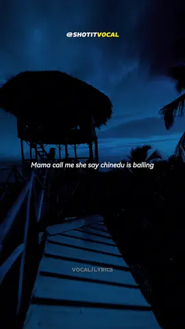 Bella Shmurda - VISION 2020 (Lyrics) #fyp #bellashmurda #vocal #lyricsvideo #foryoupage #foryou 