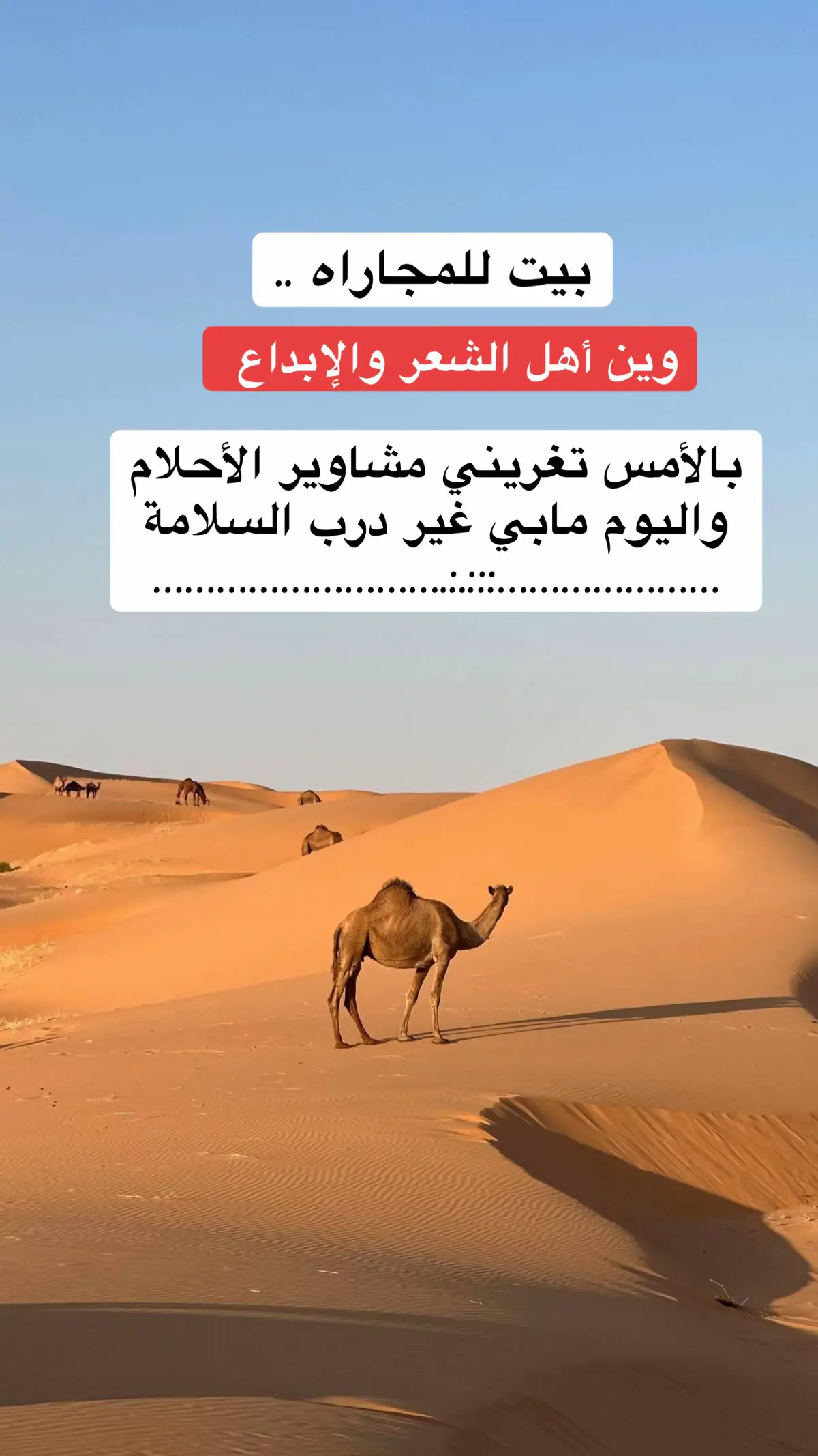 #للمجاراه_لأهل_الجزاله_والإبداع 