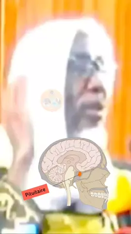 Tige Pituitaire 🧠  #cheikhmouhidine  #viralvideos #pourtoi 
