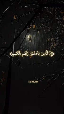 #اسلام_صبحي 🥀