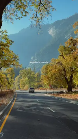 always in love with autumn ❤️ #visitcalifornia #yosemite #fallvibes #yosemitenationalpark 