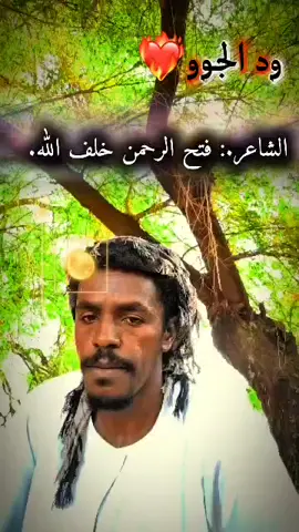 #الشاعر فتح الرحمن ودالحصايا  #مشاهير_تيك_توك_مشاهير_العرب 
