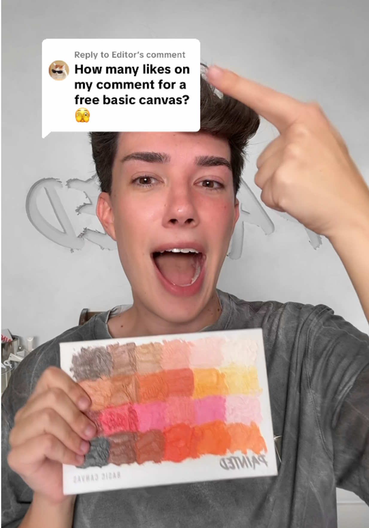 Replying to @Editor If you want free products, you have to work for them 😇 Good luck! #painted #basiccanvas 