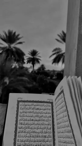 وَافْتَحِ اللَّهُمَّ لَنا مَصارِيعَ الصَّبَاحِ #دعاء_الصباح #تلاوة_خاشعة #قران_كريم #اباذر_الحلوجي #capcut 