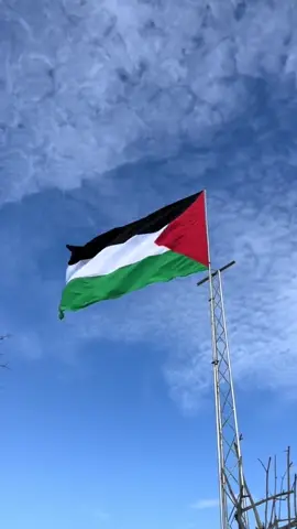 الحمدلله انتهاء الحرب على اهلنا في غزه فلسطين حره أبيه الله ينصرهم وينصر المسلمين في كل مكان #فلسطيني #السعودية #الله اكبر #الله_اكبر #اكسبلور 