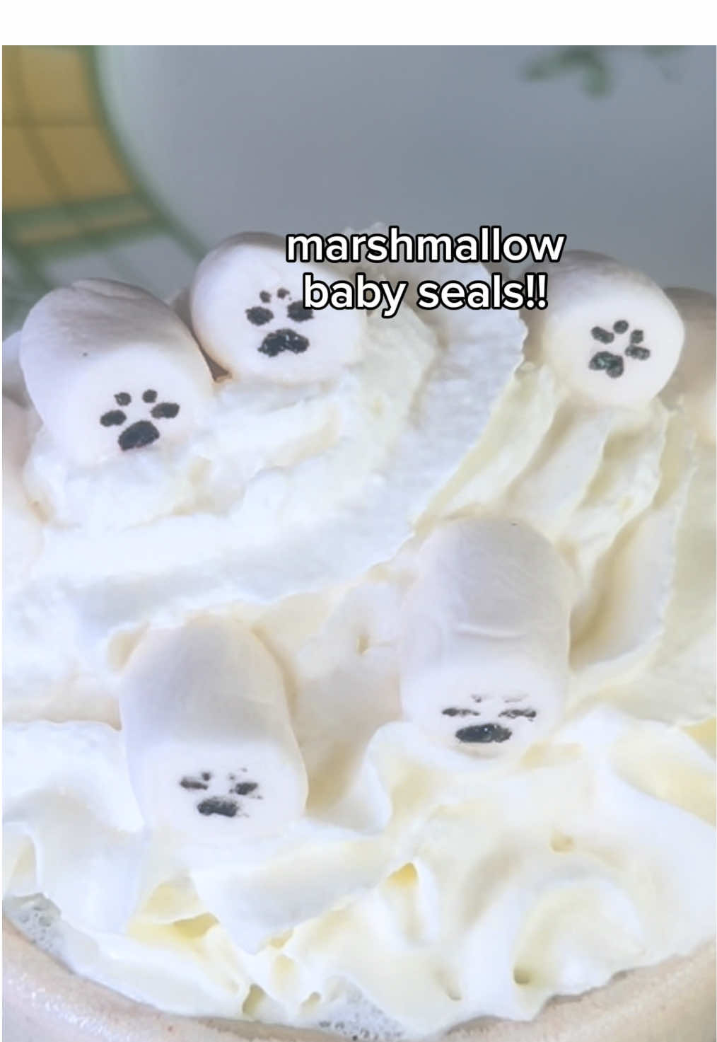 How to make marshmallow baby seals drink topping: 1. Make suitably autumnal drink. Black sesame is great because it’s grey like a seal. 2. Source some marshmallows, small ones will probably be cuter?! 3. Paint using black sesame paste or edible food colouring pens. 4. Put them on whipped cream iceberg, or whatever you desire?  I’m having fun making little seal drink ideas for autumn/fall if you can’t tell :) #seal #seals #sealcore #sealtok 