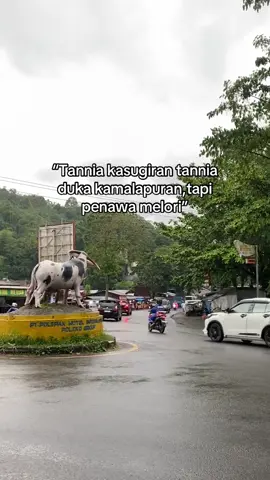 100%#fyppppppppppppppppppppppp #torajasulawesiselatan #soundviral #trend #fypdong 