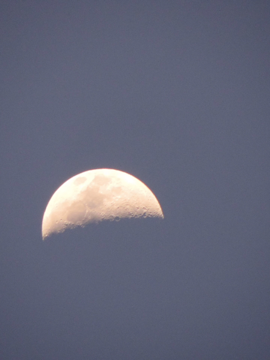 Quizás la magia no está en la luna, sino en quien piensas mientras la ves brillar... #luna #moon #lunallena #astrology 
