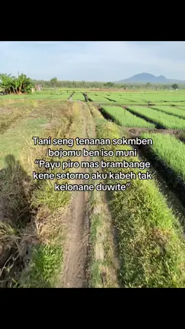 josjiss#petanimuda #petanibrambang #fyp 