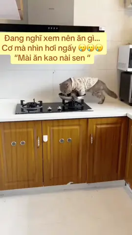 cái kiểu nó zậy á 😂, nằm phơi thây, phơi bụng ... có tính chất gợi đòn nữa...😂