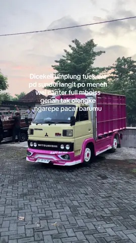 Sezzzz wooo #umplungmenolakpunah #engkel_mania_indonesia #sopirtrukpunyacerita #fyp #umplung 