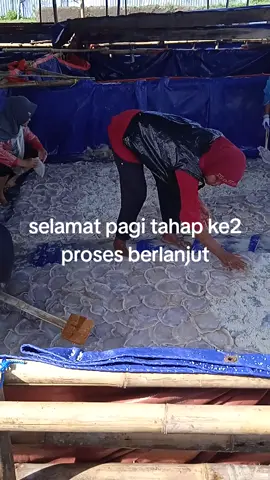 #fyp #proses ubur ubur masih tahap2 berlanjut###