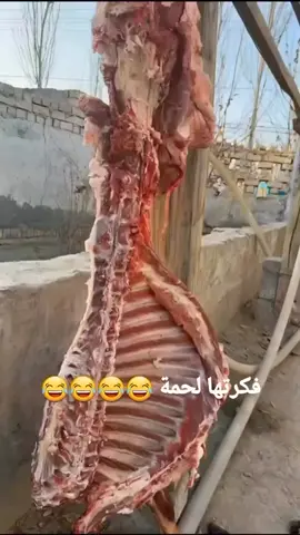 #الشعب_الصيني_ماله_حل😂😂 #اكسبلور 