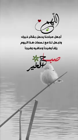 اللهم اجعل صباحنا يخمل بشائر خيرك #اعادة_النشر🔃 #إيفان_الجيزانيه #اقتباسات_دينيه #صباح_الخير 