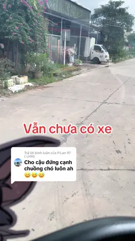 Trả lời @P.Lan 97 ( LHH) vẫn đứng đấy. Hỏi k thấy trả lời 😒😒 @Lê Hoàng Hiệp #xuhuong #A80 #a50 