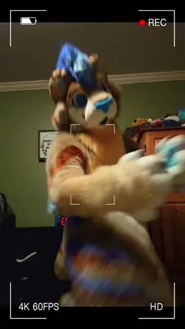 Sometimes you’ve just gotta be a fluffy saber without a care in the world 😝 🪡 - @DogWool  *** #furrytiktok #fursuit #fursuiter #furry #fursuitersoftiktok 