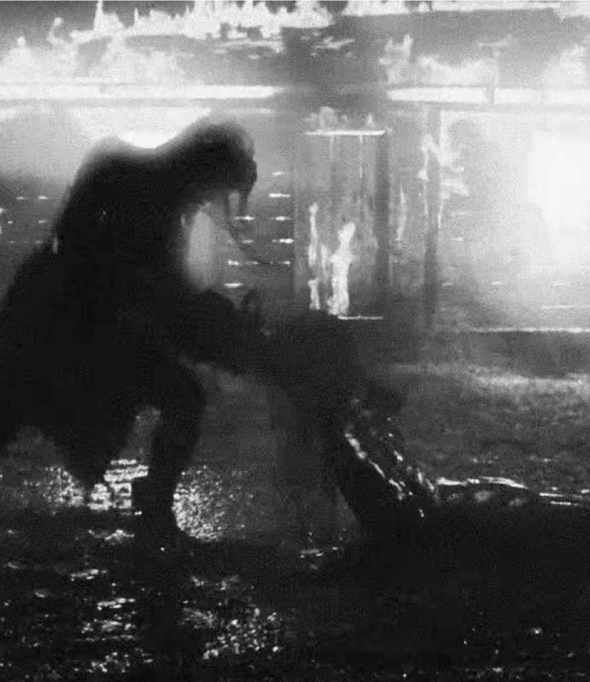 #horror #multi #xyzbca 