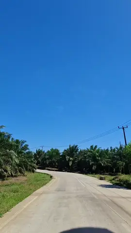 noong kebon #masukberandafyp #fypage 