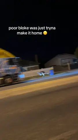 bro got sent #fyp #kangaroo #fypシ゚ #viral #funny 