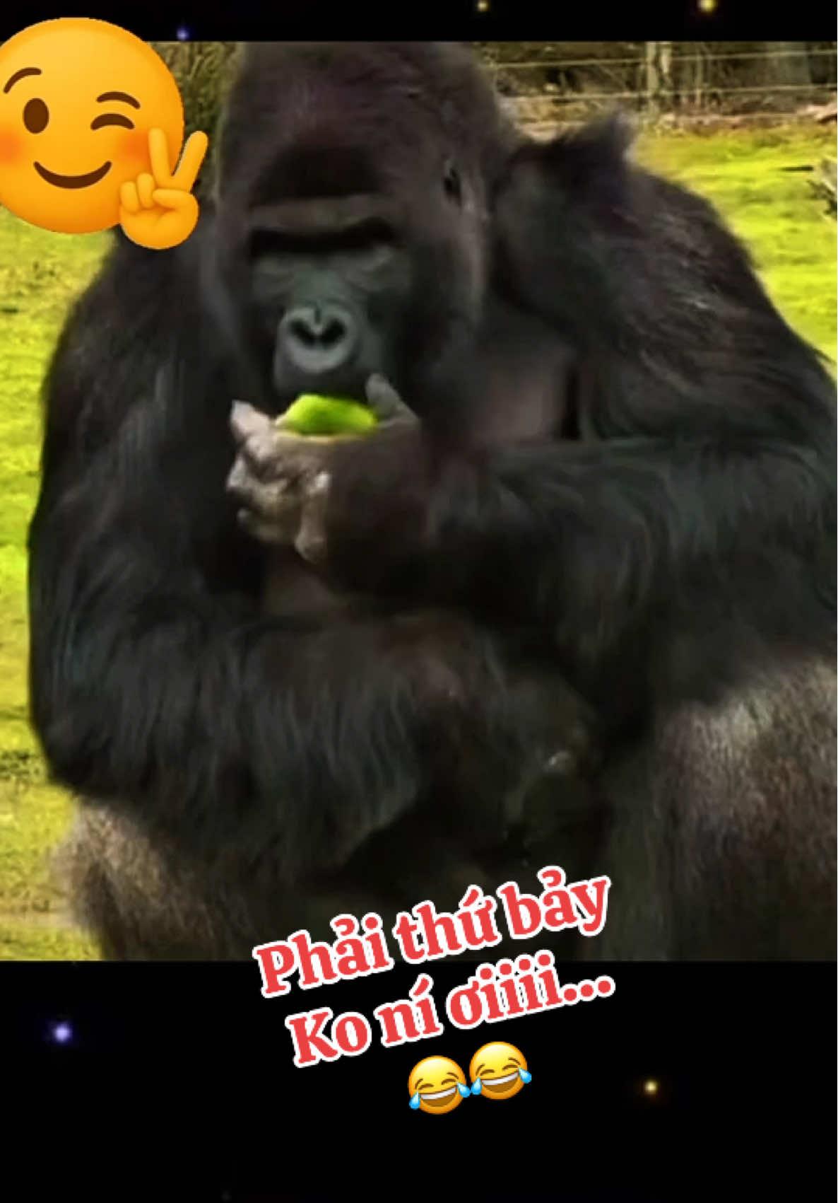 Phải thứ bảy không ní ơiiii…😂😂😂😂