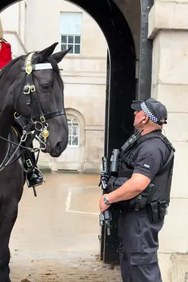 “A King’s Guard asks the officer to close the sentry box.”#highlights #london #kingsguard #horse #tradition 