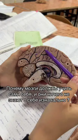 #мед #бгму #студентмедик