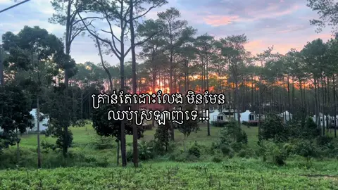 គ្រាន់តែដោះលែង មិនមែន ឈប់ស្រឡាញ់ទេ..!#fypシ゚ #funnybaby 