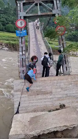 Thương các em không biết bao giờ mới có cây cầu mới để các em đi học đây 🥹🥹 #bao 