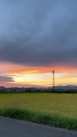Japan sunset 🇯🇵 #japan #japanvibes #dreamcountry #sunset 