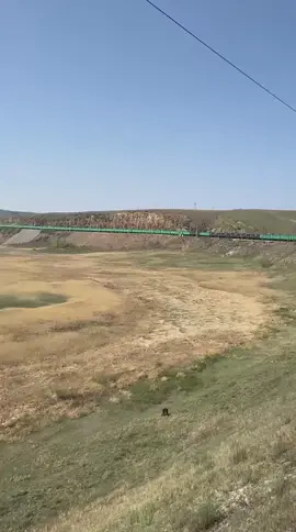 #germanytiktok 