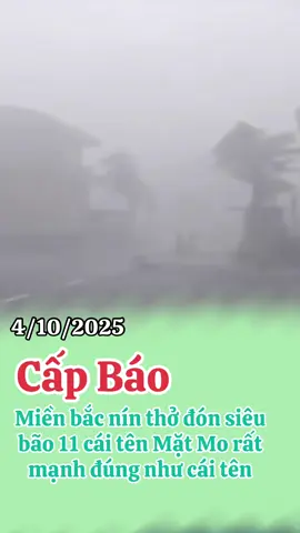 Tin bão 11 bão MATMO mới nhất #xuhuongtiktok @CẬP NHẬP TIN TỨC MỚI 
