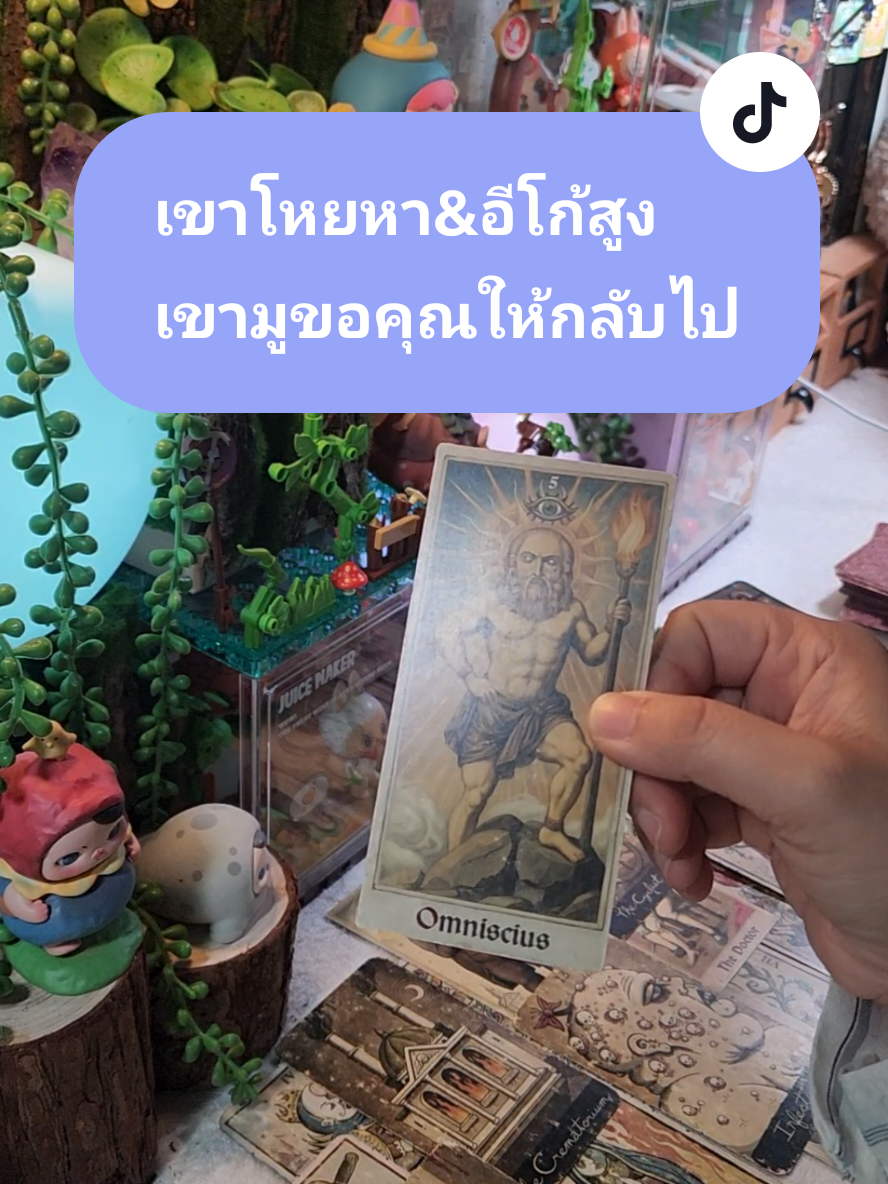#โสด #สายมู #ดูดวง #ความรัก #แม่หมอปลั๊กกี้ 
