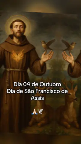 Dia 04 de outubro ~ Dia de São Francisco de Assis🕊️✨ #amem  #santo  #saofrancisco #catolicos #fyyyyy 