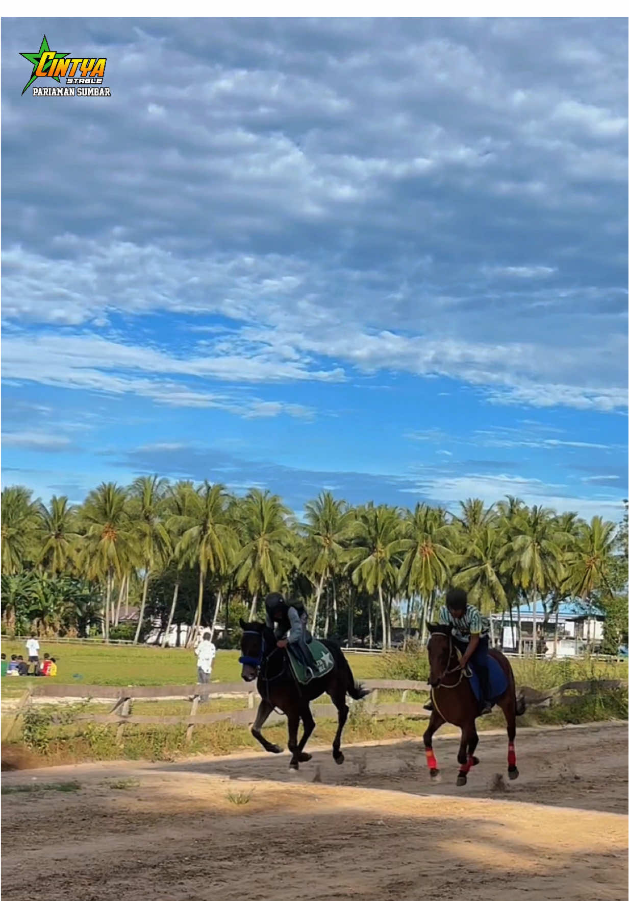 Ketika joki cilik di sandingan latihan dengan joki legend. Yg tau dan yg pernah liat joki legend ini pacu di masanya silahkan komen #kudapacuindonesia #kudapacusumbar #kudapacu #jockey #fyp 