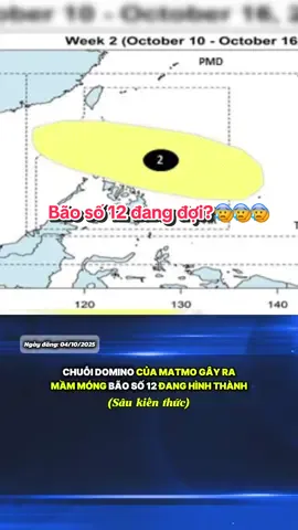 Tin bão khẩn: Bão số 11 Matmo chưa đổ bộ thì mầm móng bão số 12 đang dần hình thành. Hiệu ứng domino không dừng lại ở đây... #xuhuong #tintucbao #baoso11 #baoso12 #matmo 