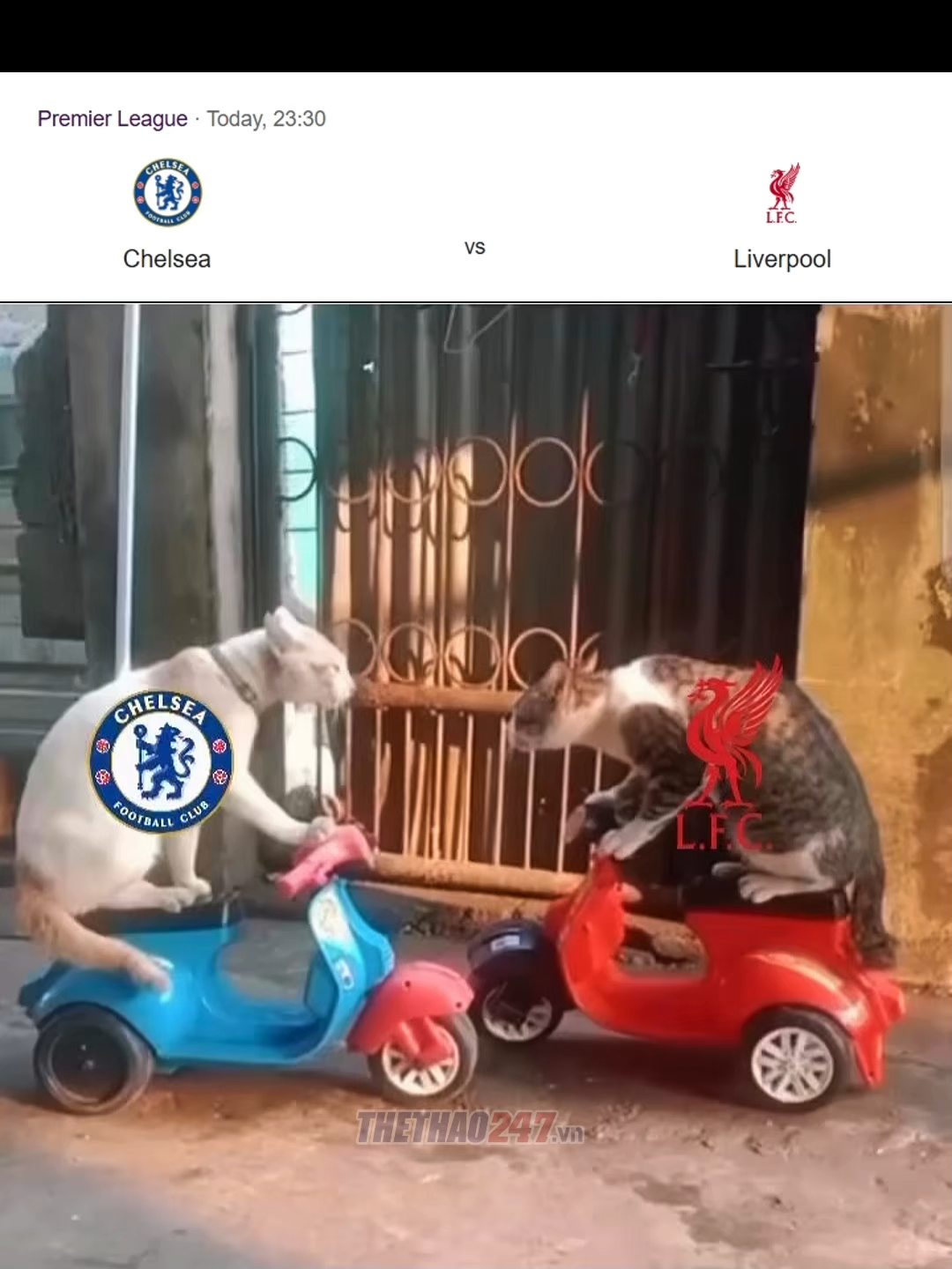 Đại chiến của chân đèo và cần đò. Tỉ số sẽ là bao nhiêu?#chelsea #liverpool #meme #funny #Thethao247