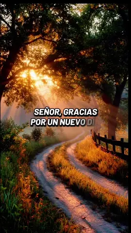 Señor gracias por un nuevo día #orandocongallego #oracion #oraciondelamañana #dios #fyp 