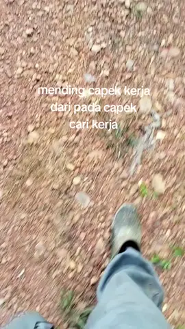 #story #katakatamotivasi #operatormuda 