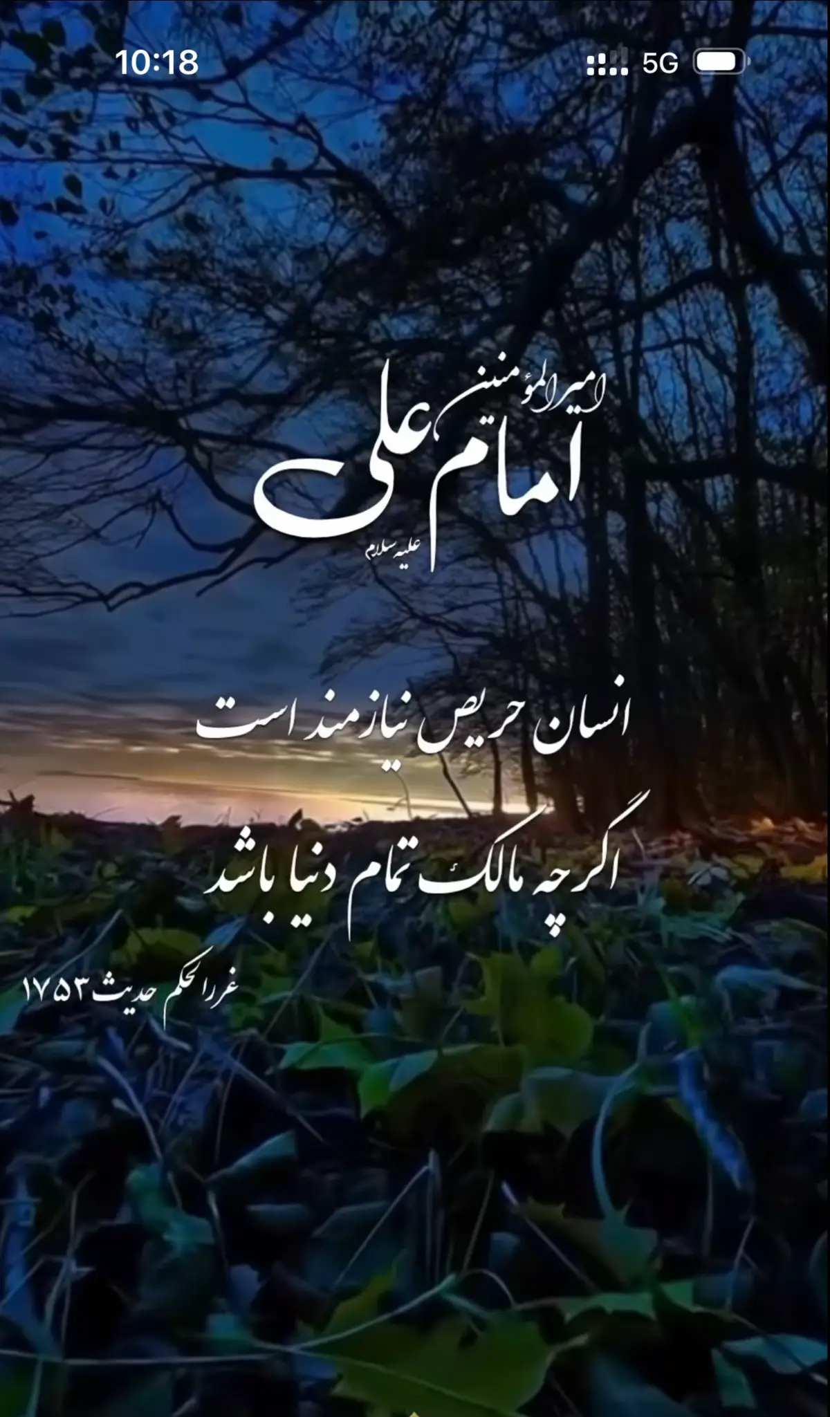 #molaali #imamali #nahjulbalagha #امام_علي_علیہ_سلام #foryourpageofficial 