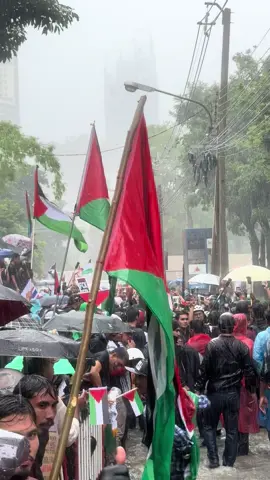 Free Palestine🇵🇸#ปาเลสไตน์ 
